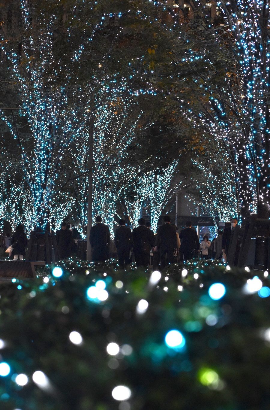 《ファインダーをのぞいて カメラ女子の撮影日記》⑱　イルミネーションを撮る！　クリスマス気分盛り上げる「前ボケ」