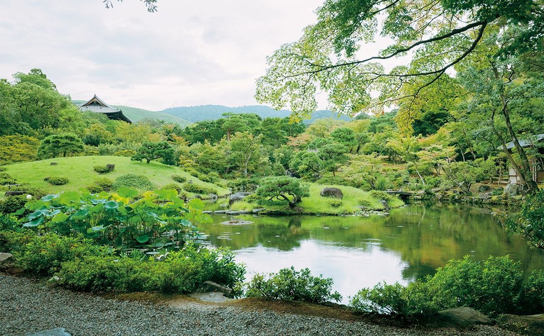 美しい庭園に酔いしれる［奈良ならではの15のこと］