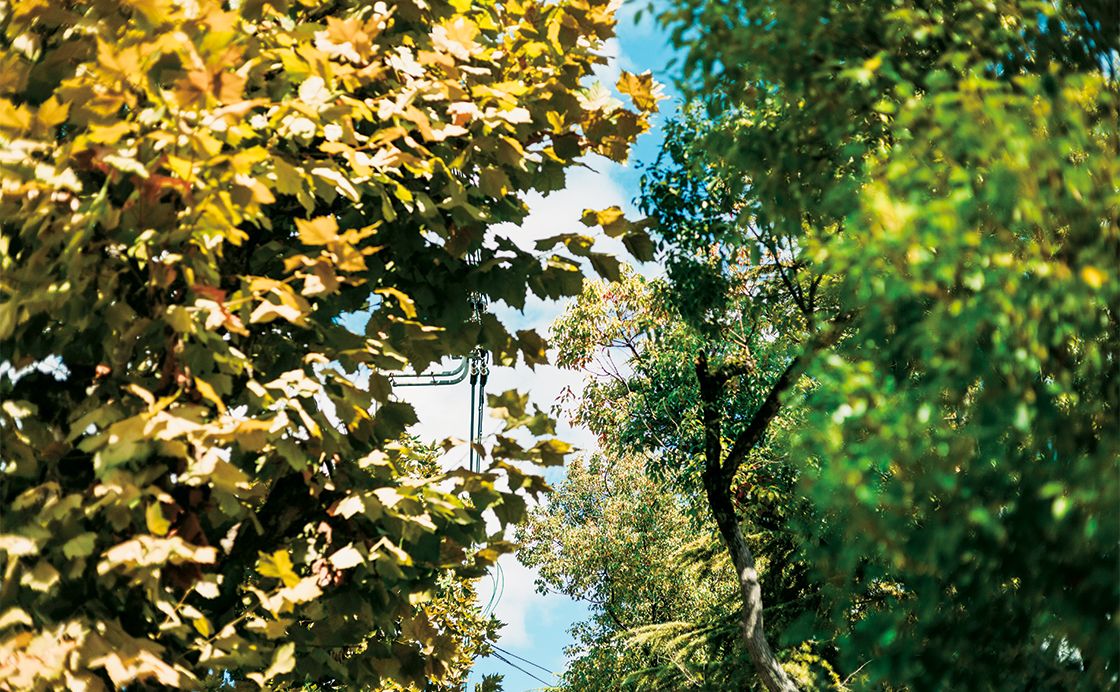 トレーニングが自信をくれる（体力の話）［連載エッセイ ゆらめくひかり］