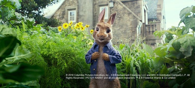 きょうはピーターラビットの誕生日！　初の実写映画が10月にDVD&ブルーレイで登場　吹き替えの千葉雄大インタビュー動画も公開