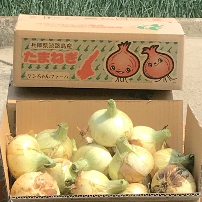 《勝どき》キャンプで食べたい食材が大集合！　「太陽のマルシェ」、12日(土)と13日(日)に開催