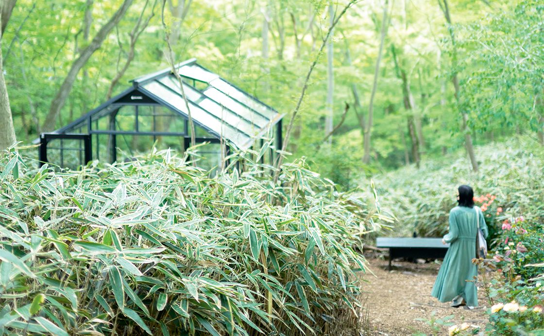 あたらしい箱根へ［あたらしい箱根へ］
