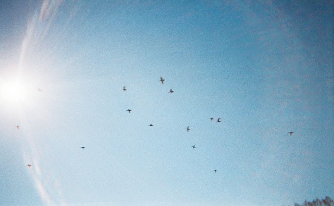 vol.4 椅子であることをいつでもやめられるきみは団地を駆け抜けていく［岡本真帆のうたかたの日々 日付のない日記］