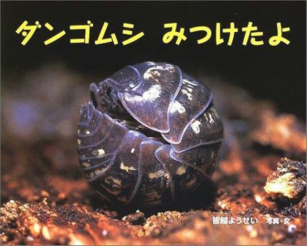 【絵本に再び出会う】出合いから心の成長へ