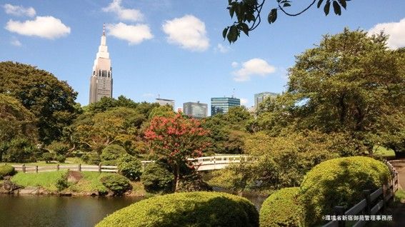 画像3.jpg