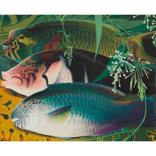 箱根》「田中一村の絵画」展 奄美の自然に身を委ねて