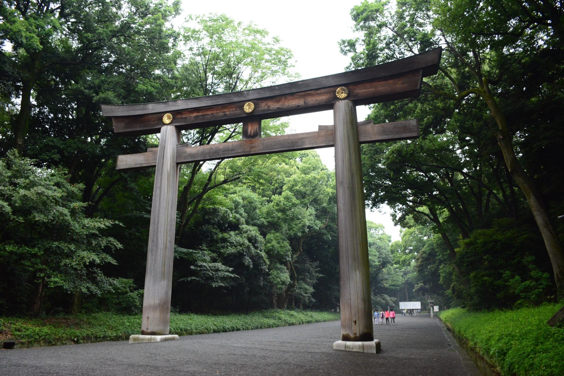 画像4.jpg