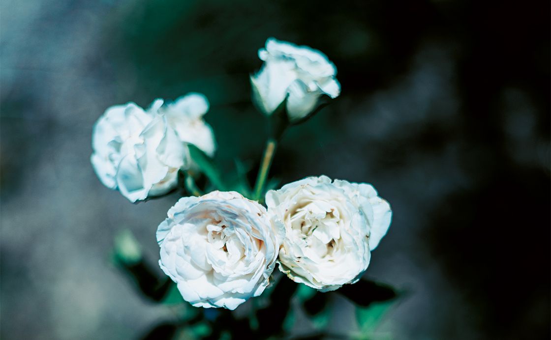 ロールモデルがいなくなる（道標の話）［連載エッセイ ゆらめくひかり］