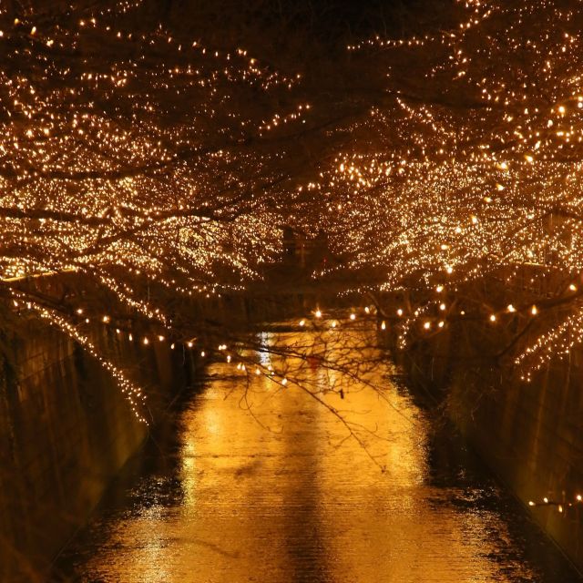 《中目黒》目黒川が黄金のドームに覆われる「NAKAMEGURO JEWEL DOME 2016」開催中