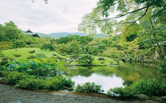 美しい庭園に酔いしれる［奈良ならではの15のこと］