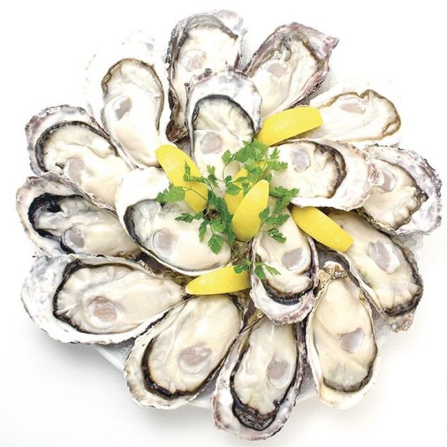 「ゼネラル・オイスター」が全国３１店で生牡蠣全品半額に　今月末まで