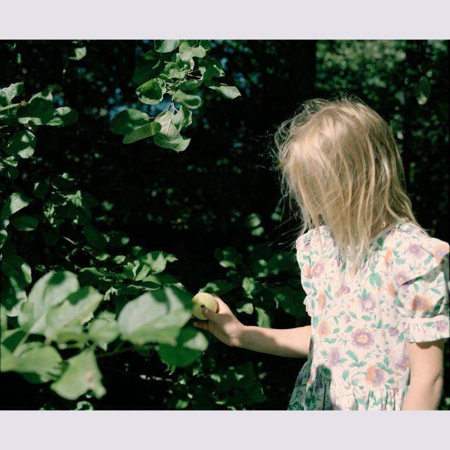 《恵比寿》エレナ・トゥタッチコワが撮ったロシアの自然に囲まれて暮らす兄妹たちのかけがえのない夏の日々