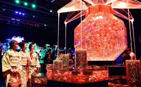 《日本橋》「ECO EDO 日本橋 2019」がスタート　金魚アートやデジタル花火、風鈴のライトアップで風流にひと涼み