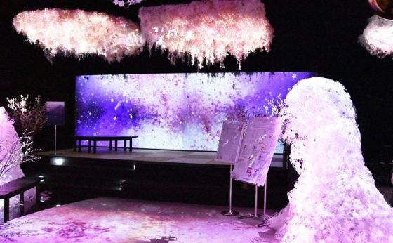 《日本橋》日本一早い”お花見”「FLOWERS BY NAKED」　1/29(火)開幕　最新技術を使った”体感型アート空間