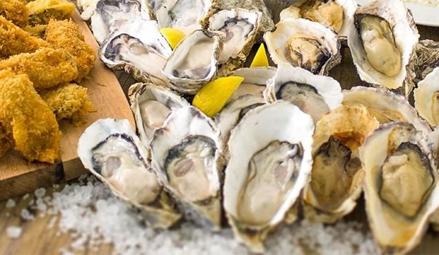 生牡蠣・カキフライなど６種のカキ料理が食べ放題　１日から　ガンボ＆オイスターバーなどで
