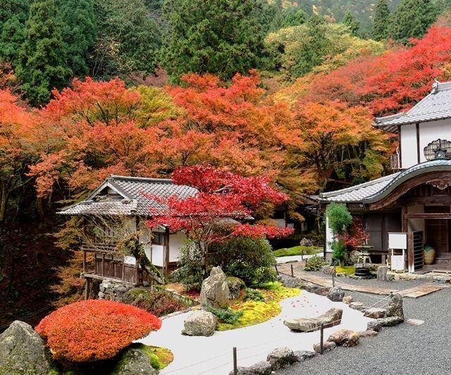 ​​《京都紅葉めぐり2017》④阿弥陀寺