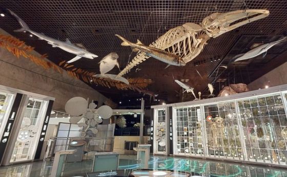 あの博物館を心ゆくまで楽しめるオンライン鑑賞！