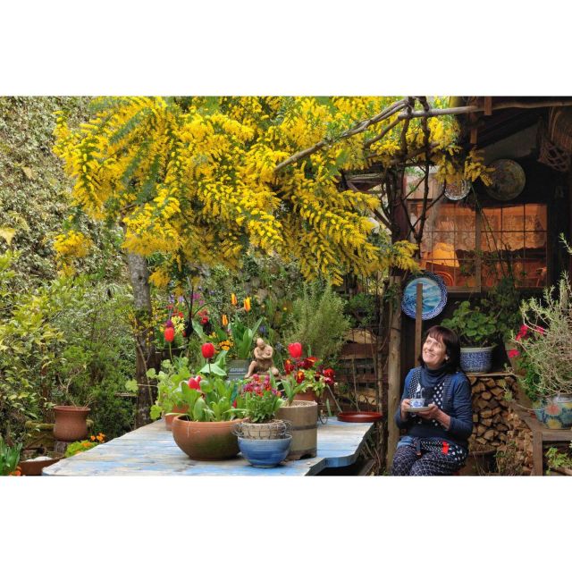 《銀座》美しい季節の移ろいを感じる生活「ベニシアさんの手づくり暮らし展」開催