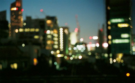 vol.8 点呼する　きみもさくら、あなたもさくら　春の夜ってみじかいからね［岡本真帆のうたかたの日々 日付のない日記］