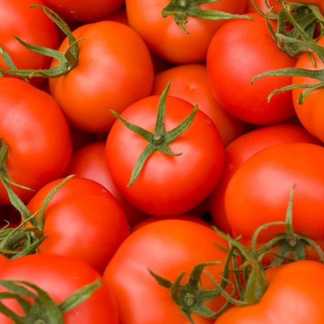 《横浜》高島屋とカゴメがタッグ！トマトフェスタ12日から開催