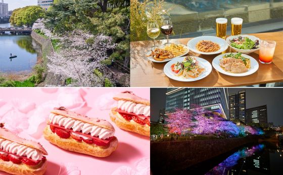 東京ガーデンテラス紀尾井町「KIOI SPRING 2025 紀尾井・花さんぽ」が開催中！