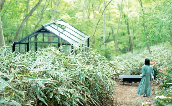 あたらしい箱根へ［あたらしい箱根へ］