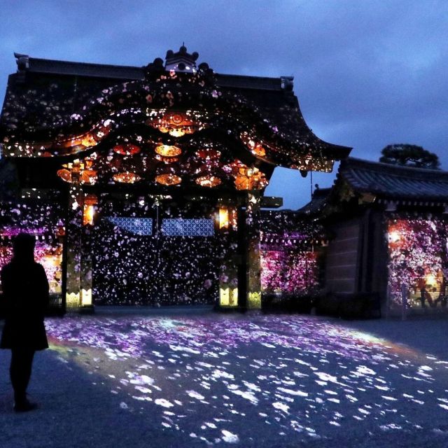 ​《京都》本物の桜とアートの桜が共演　大政奉還150周年の「二条城」で24日から