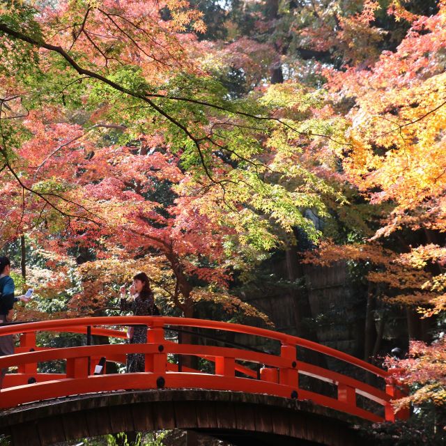 《京都》北野天満宮の御土居もみじで見頃が続く