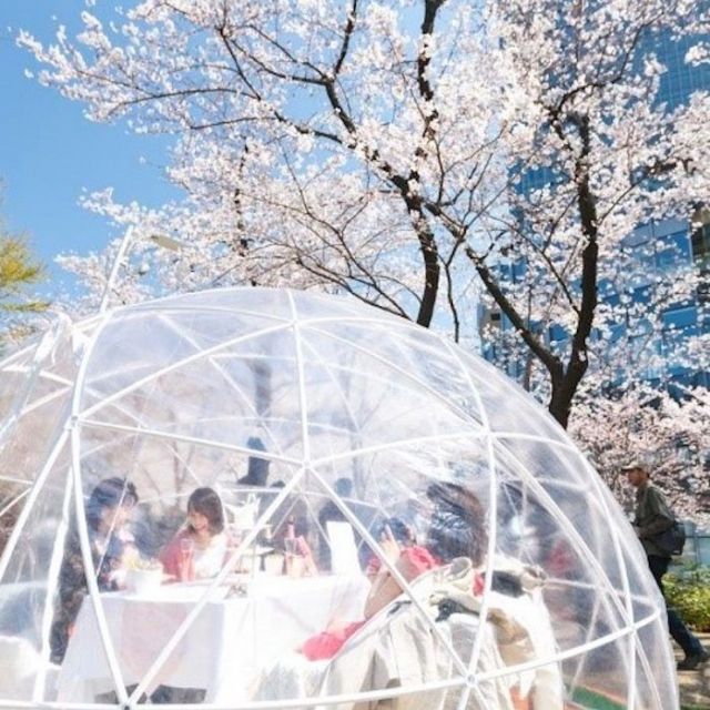 春を感じる「食」の楽しみ　屋外でロゼスパークリング、カップデリレシピ、キャンディのギフト&hellip;