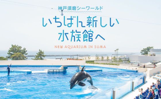 神戸須磨シーワールド《いちばん新しい水族館へ》ー前編－