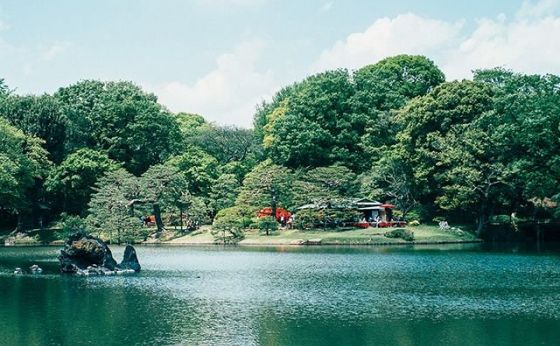 おひとりさまにぴったりな、駒込のカルチャーめぐり。［気ままに駒込 01］