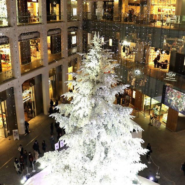 《東京》今年もKITTEに屋内最大級14・５メートルのホワイトクリスマスツリー登場