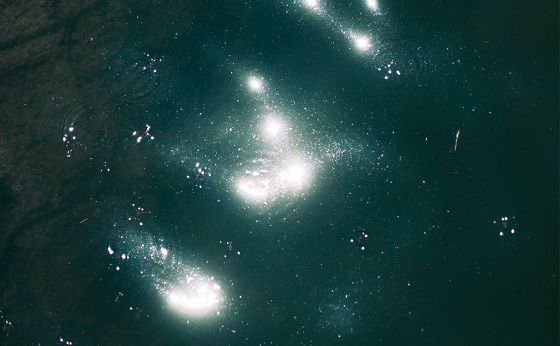 母親像という思い込み（育児の話）［連載エッセイ ゆらめくひかり］