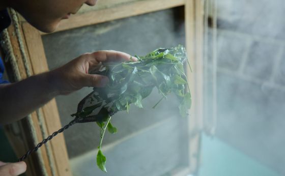 《人形町》製茶問屋によるカフェで、サードウェーブ抹茶を（前編）