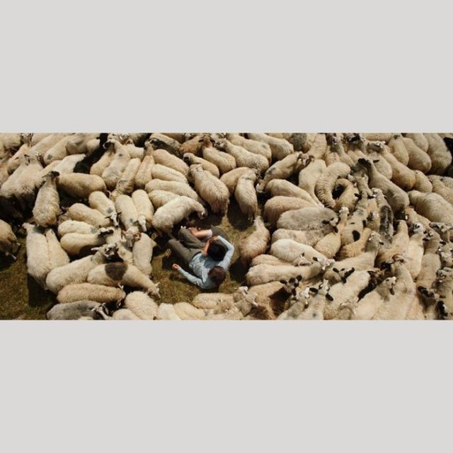 【シネマプレビュー】 オン・ザ・ミルキー・ロード