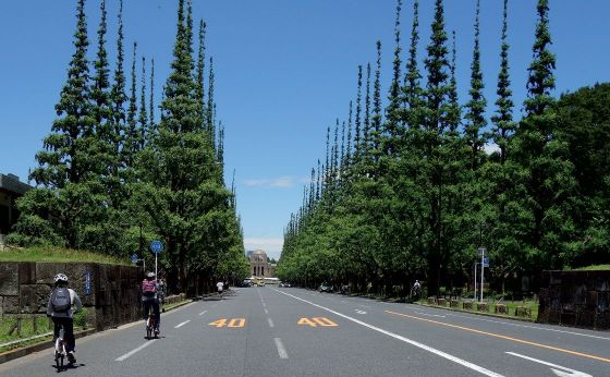 ライフスタイルに自転車を［春さんぽは自転車で］