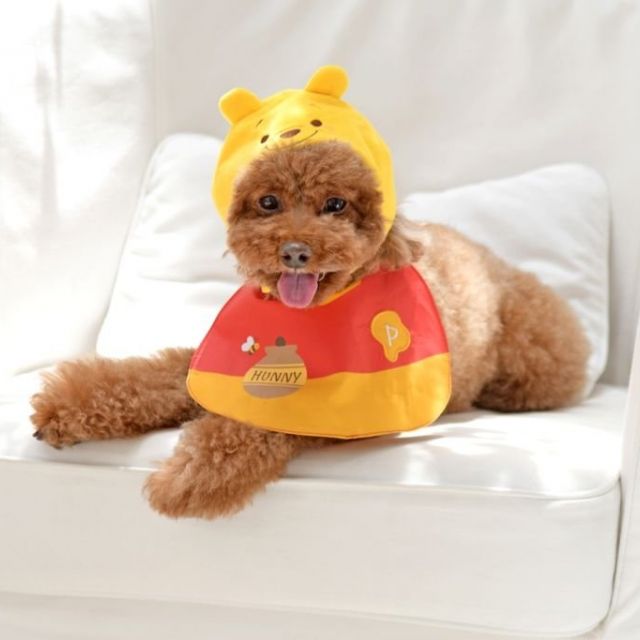 ディズニーストアオリジナルのペットグッズ登場　ミッキーやプーさんの帽子で愛犬がさらに可愛く　