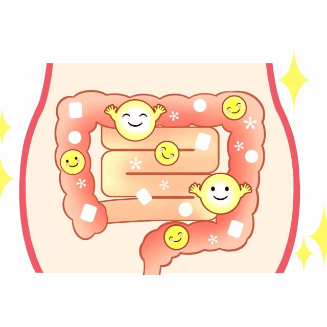 腸内フローラ改善で減量効果！　ポイントは〝腸の奥〟まで届く食物繊維