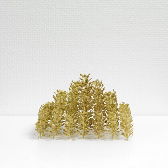 《佐倉》「一粒の砂に世界を見るように」展　小さな作品から広がる宇宙