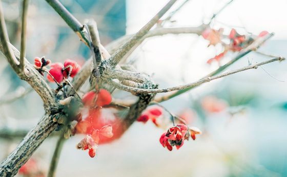 不安定な日々を、少しだけ乗りこなせたら（PMSの話）［連載エッセイ ゆらめくひかり］