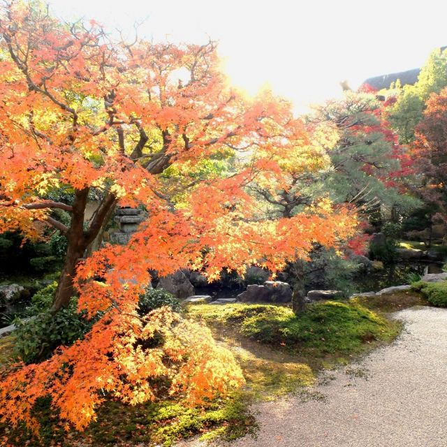 ​​【京都紅葉めぐり2017】⑤建仁寺塔頭　正伝永源院