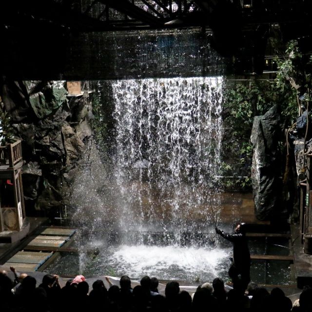 《横浜》瀧のように水が噴き出し、池に人が消える摩訶不思議でスペクタクルな「水族館劇場」 寿町で上演　