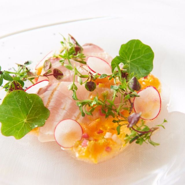 《恵比寿など》〝食の都かごしま〟フェア開催中、桜島大根や黒さつま鶏を使ったオリジナルメニューを提供