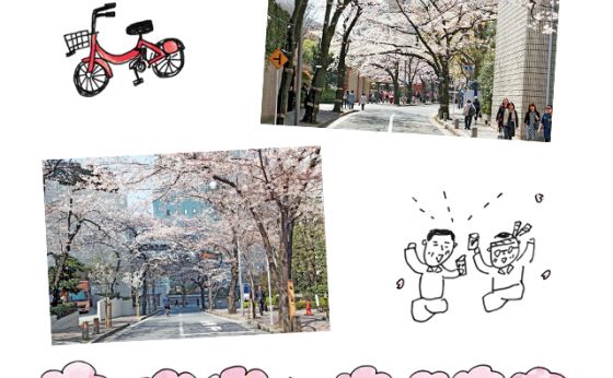 お花見も溜池山王で［溜池山王で、春さんぽ］