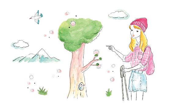 知っておきたい、親知らずのリスクとは？《働くオンナの救Q箱》