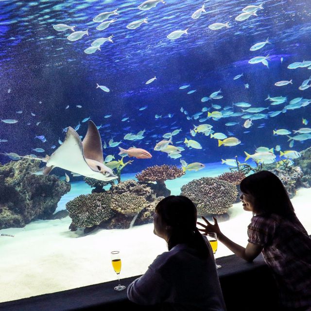 ≪池袋≫魚と眠る夜？！サンシャイン水族館のお泊まり女子会がすごい