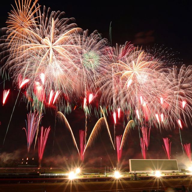 ​​《京都》古都の夜空を彩る１万3000発　京都芸術花火
