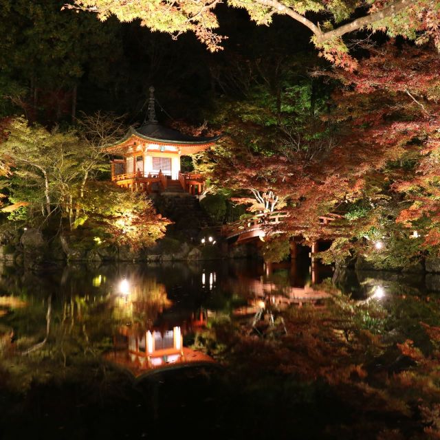 《京都》醍醐寺で秋季夜間拝観のライトアップ　桜の名所で愛でる紅葉