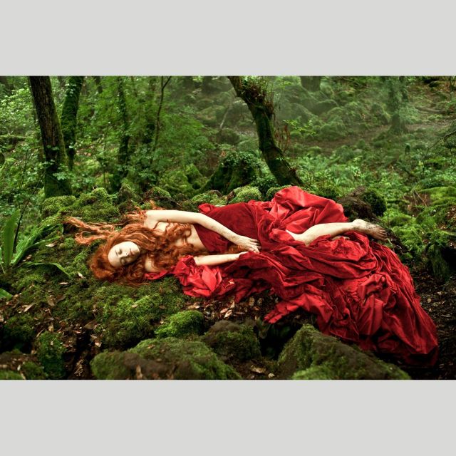 「五日物語　３つの王国と３人の女」　ホラーとユーモア&hellip;重厚な映像美