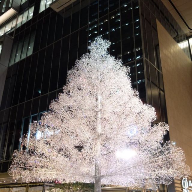 《赤坂見附》東京ガーデンテラス紀尾井町で、クリスタルツリーのイルミネーションがスタート